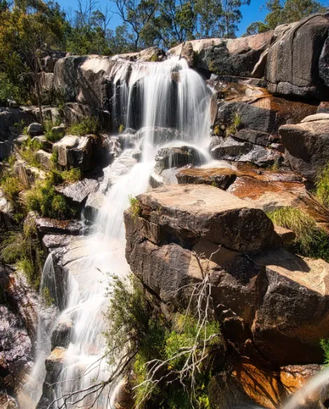 things to do and see in canberra