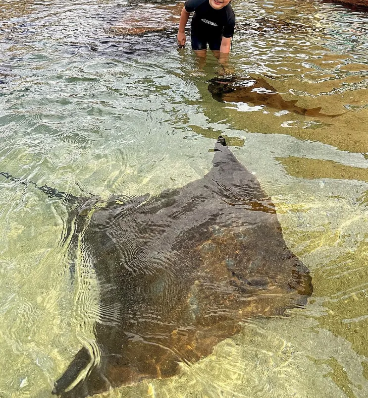 things to do around port stephens