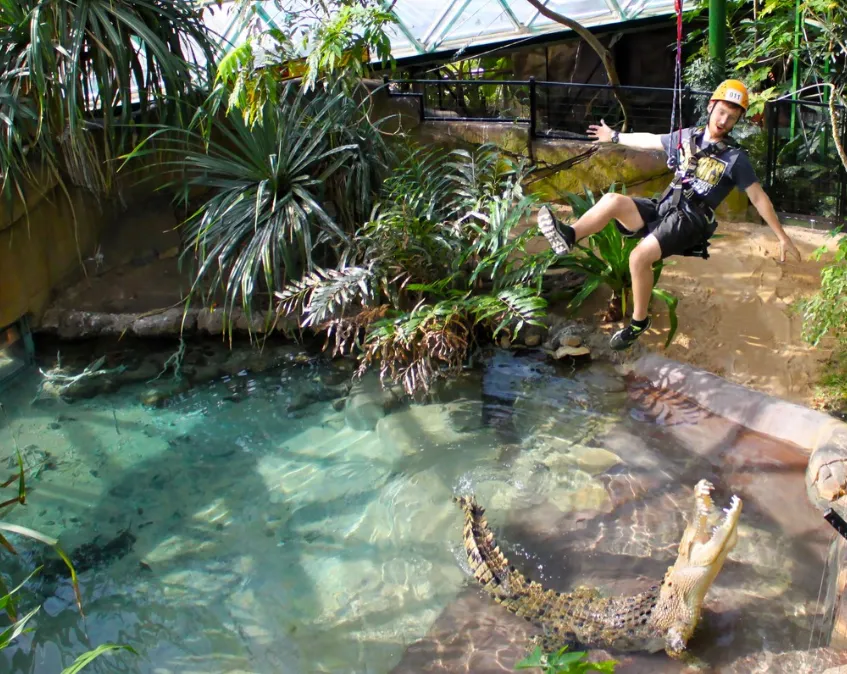 things to do cairns