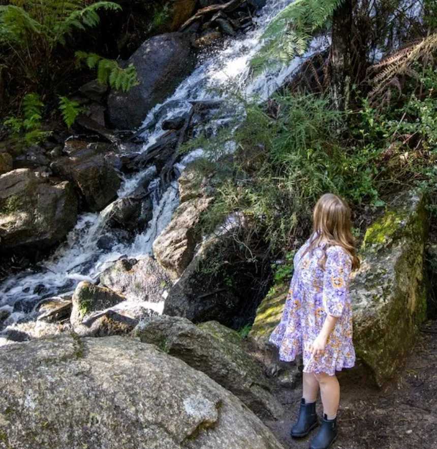 things to do in dandenong