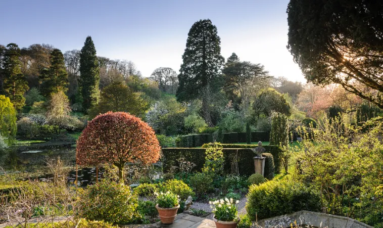 things to do in dandenongs