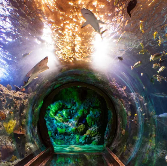 things to do in melb
