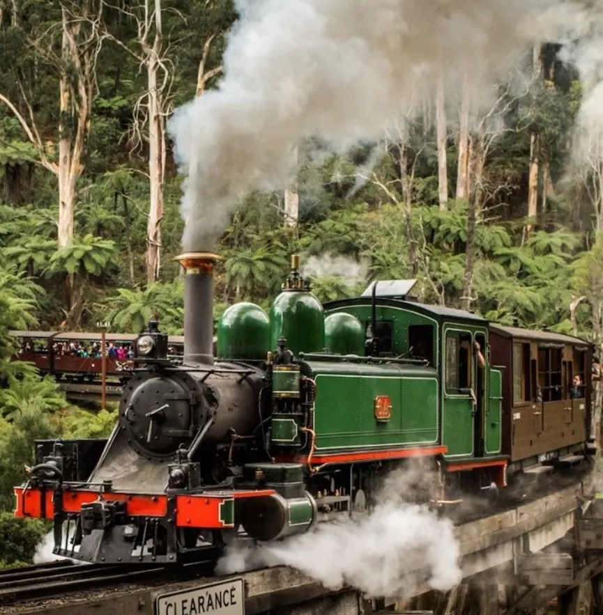 things to do in mount dandenong