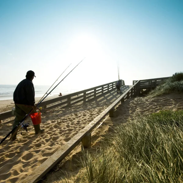 things to do in philip island