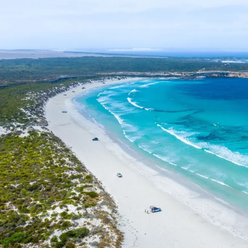 things to do in port lincoln