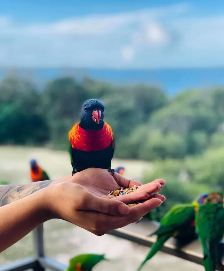 things to do in port stephen