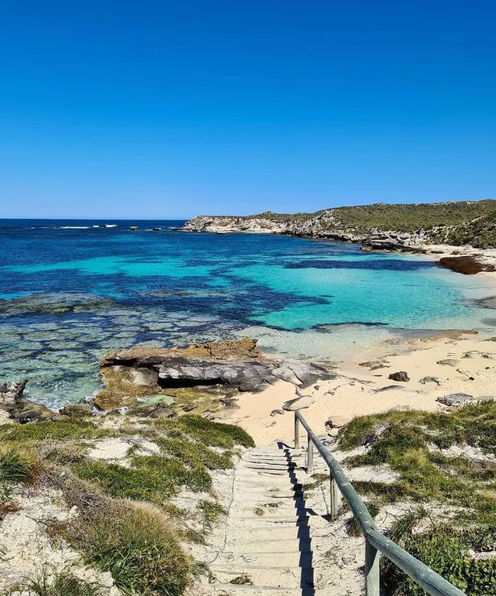things to do in rottnest island