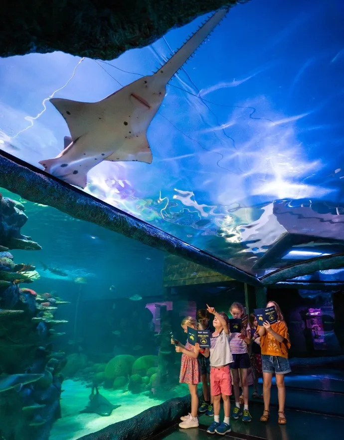 things to do in sydney harbour
