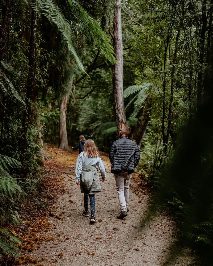 things to do in the dandenongs