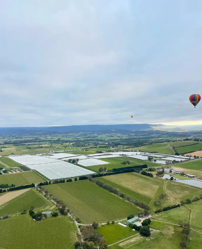 things to do in yarra glen