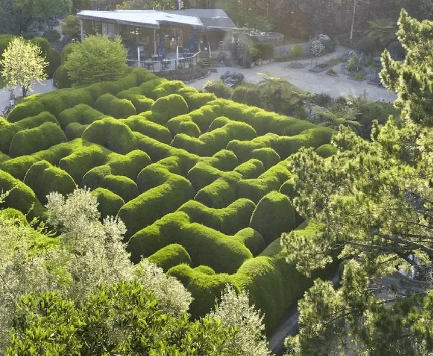 things to do mornington peninsula this weekend