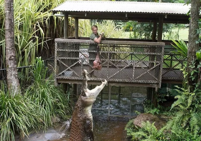 things to do near cairns
