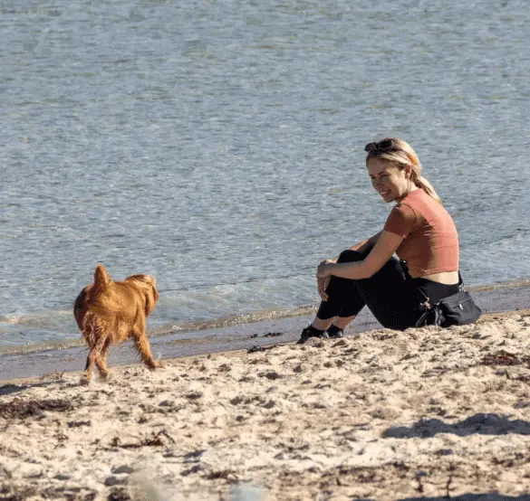 things to do on mornington peninsula