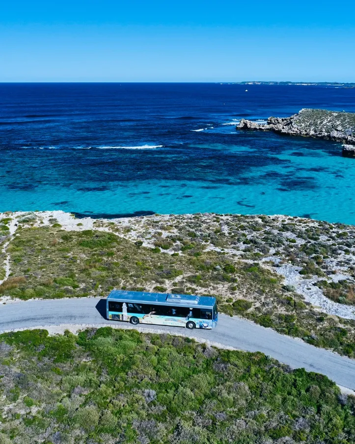 things to do rottnest island