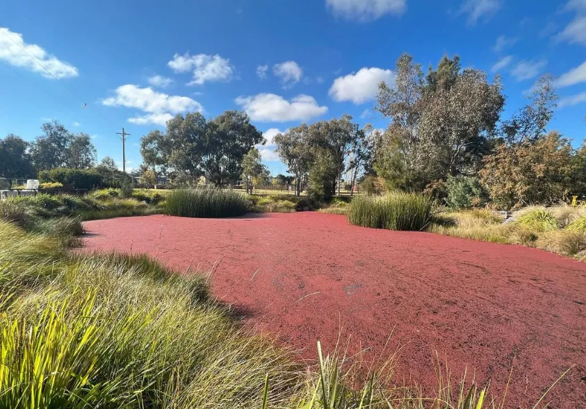 things to do.in canberra