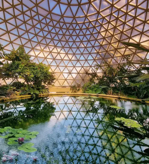 things to see around brisbane