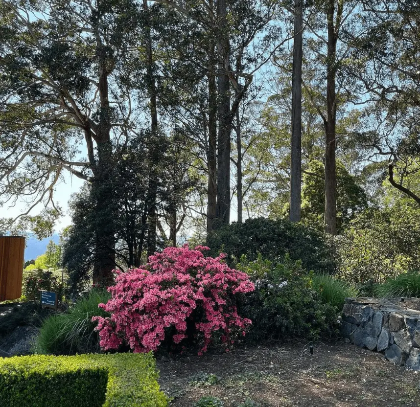 things to see in blue mountains