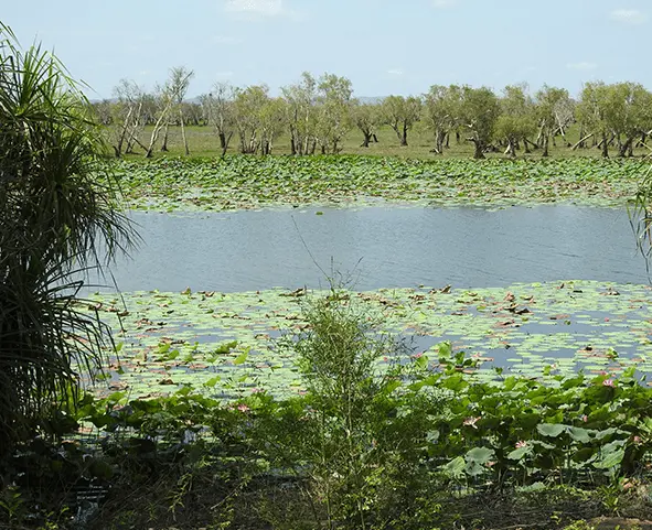 things to see in darwin