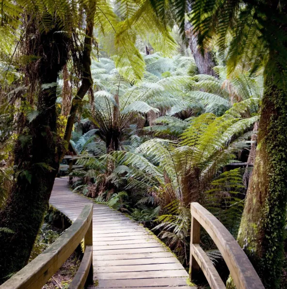things to see in lorne