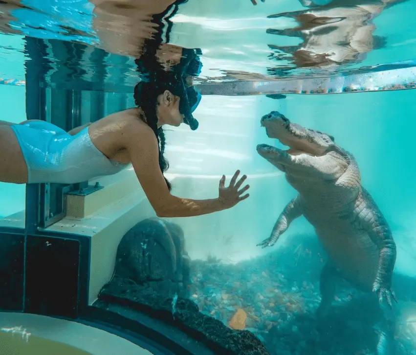 things to see in port douglas