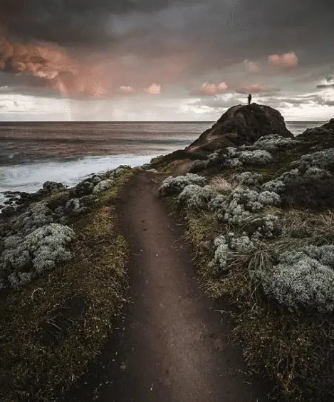 things to see mornington peninsula