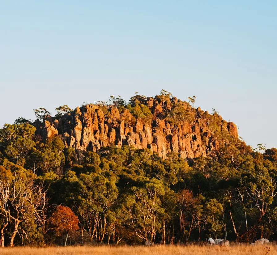 top 10 things to do in victoria