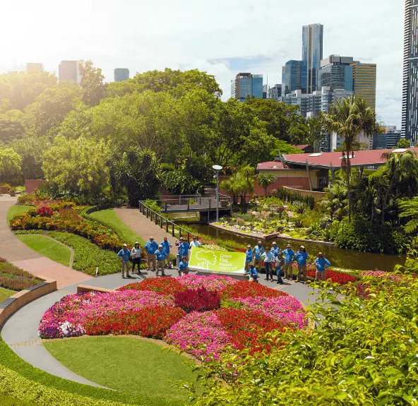 top ten things to do in brisbane