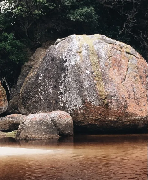 top things to do in victoria