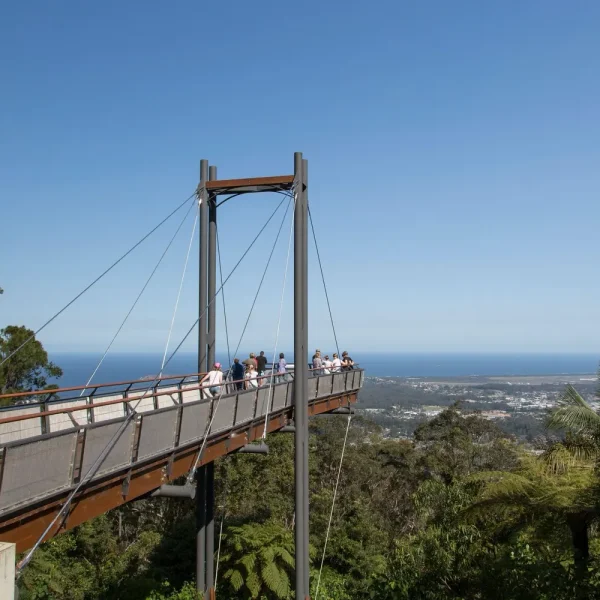 tour from sydney to brisbane