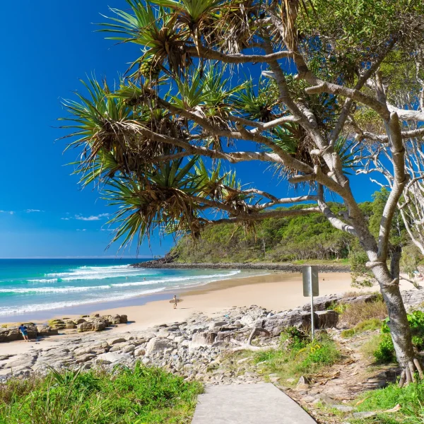 tour from sydney to cairns