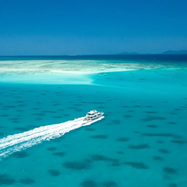 tour package brisbane to cairns