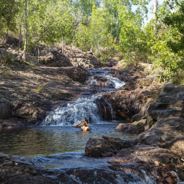 tours litchfield national park