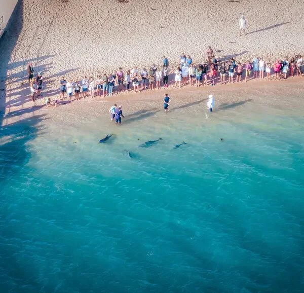 tours of western australia