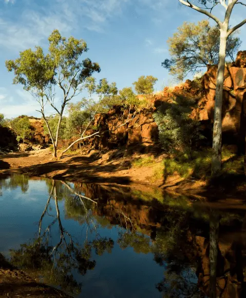 travelling from sa to nt