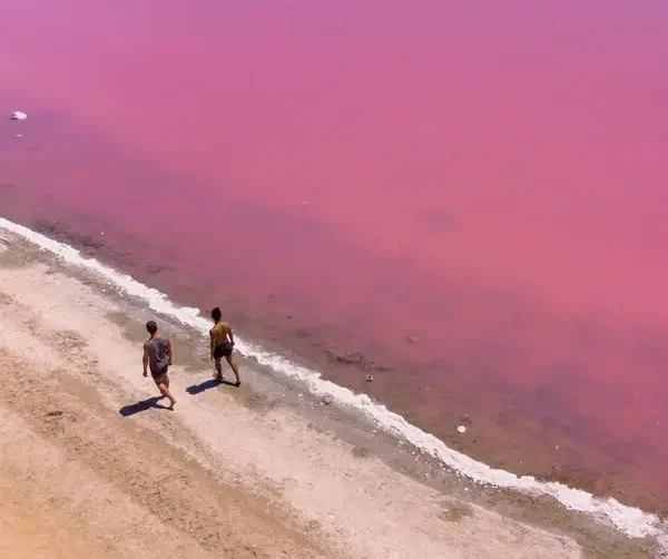 trips to western australia