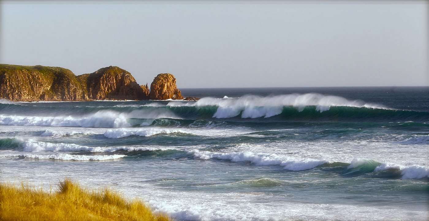 what to do in phillip island