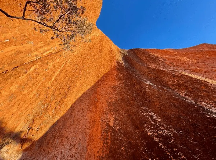 Alice Springs-Ayers Rock Tour Packages