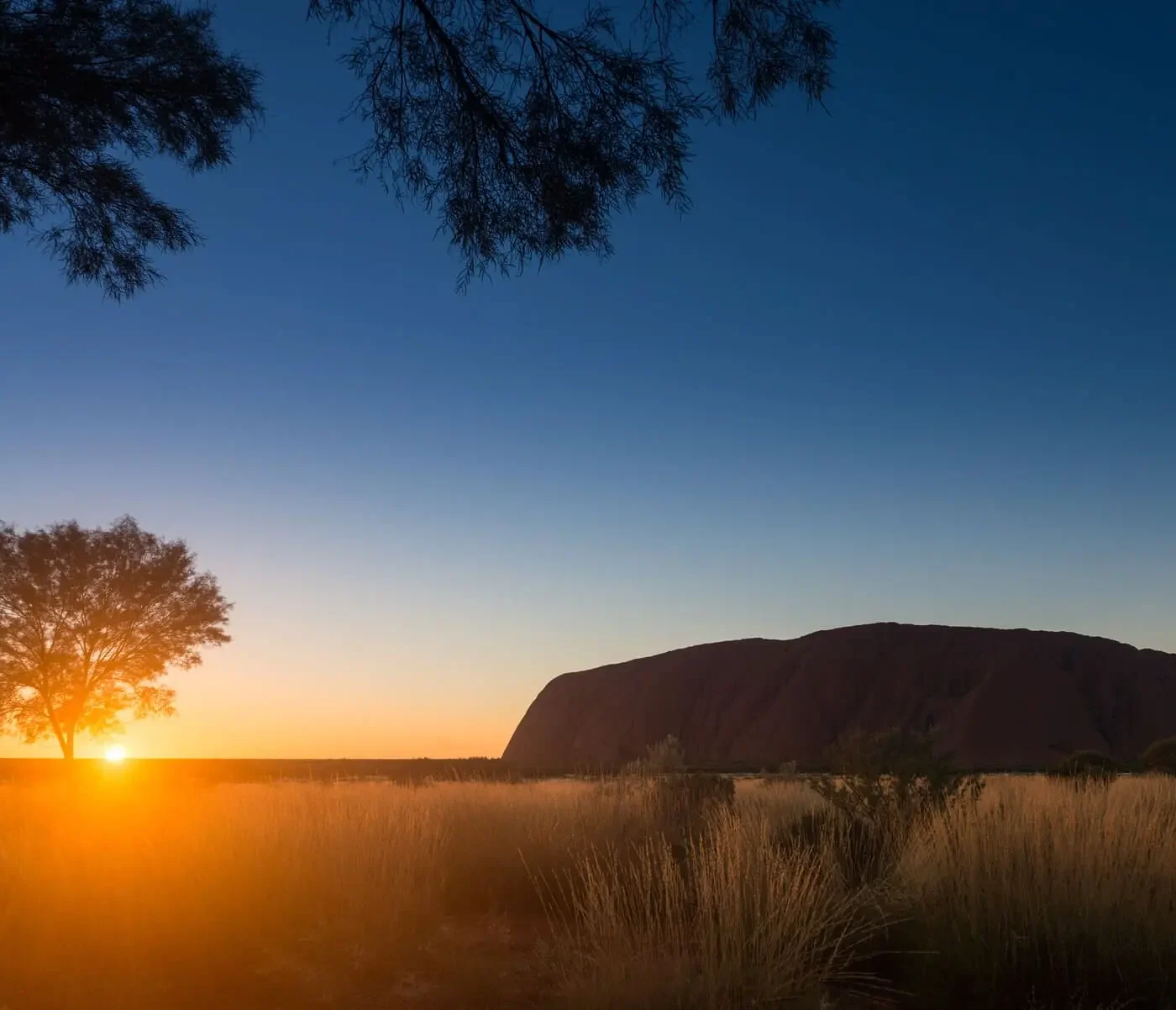 uluru tours seniors