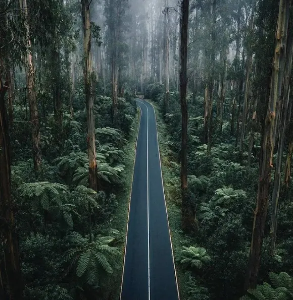 yarra valley day trip